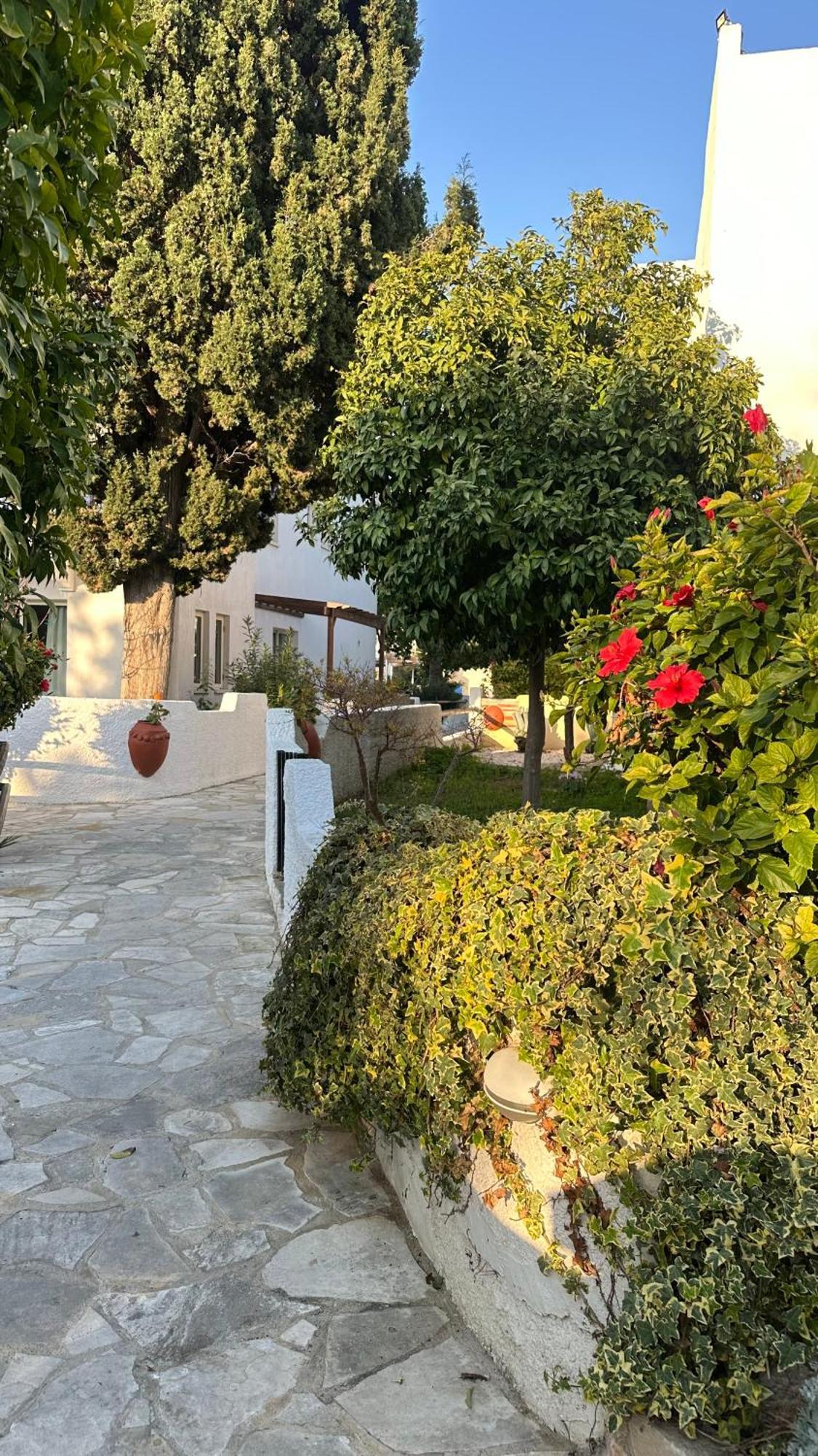 Paphos Gardens Studio Suite Esterno foto