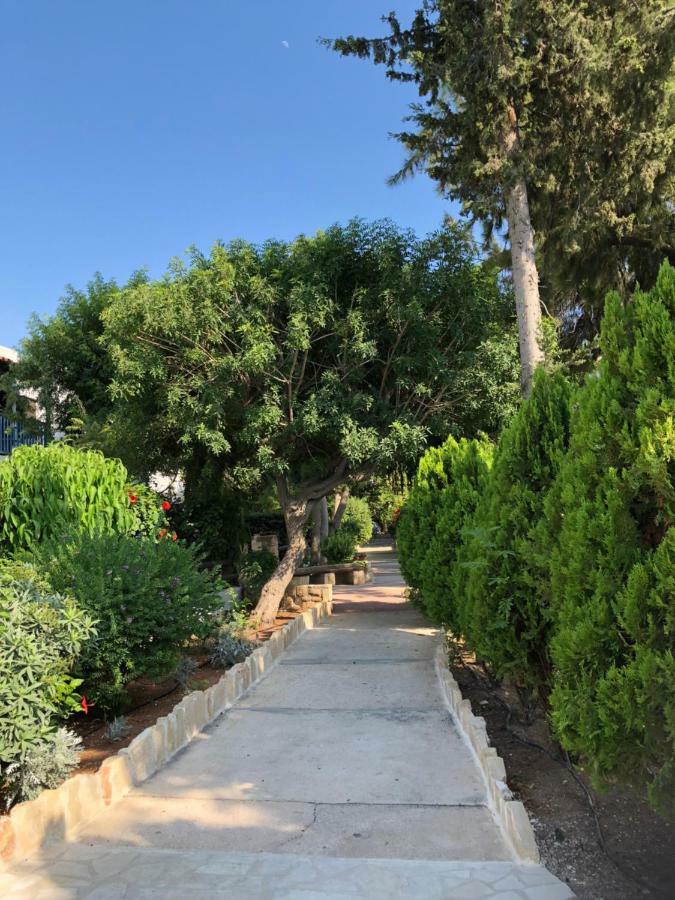 Paphos Gardens Studio Suite Esterno foto